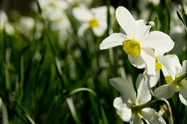 Similar image 10933077