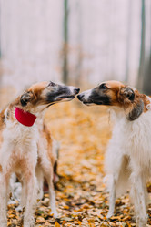 Similar image 10938358