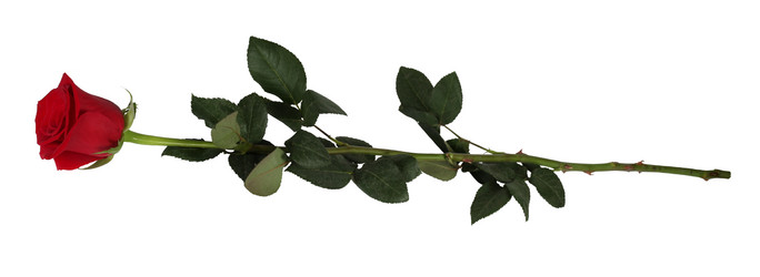 Similar image 10931892