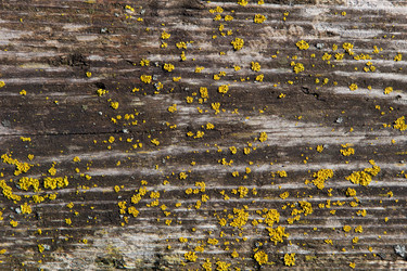 Similar image 10933010