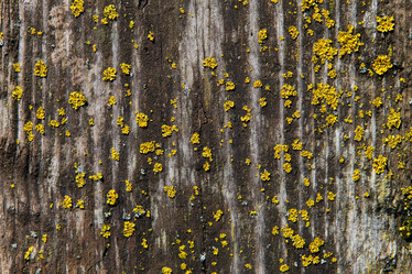 Similar image 10933011