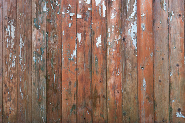 Similar image 10933031