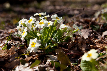 Similar image 10933037