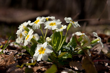 Similar image 10933038