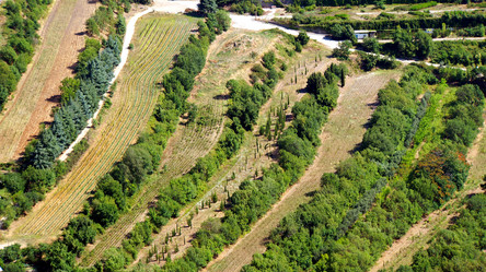 Similar image 10932077