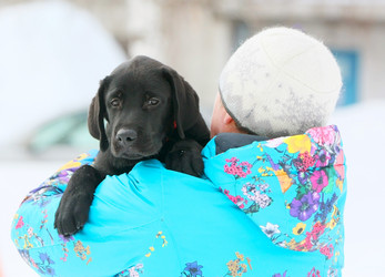 Similar image 10932079