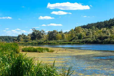 Similar image 10947931