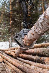 Similar image 10948112