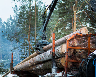 Similar image 10948113