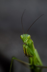 Similar image 10932893