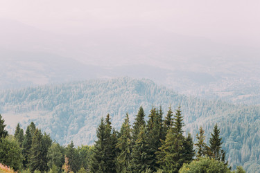 Similar image 10937364