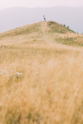 Similar image 10937368