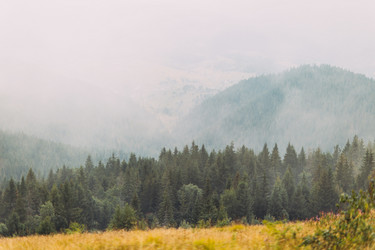 Similar image 10937374