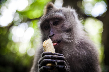 Similar image 10948097