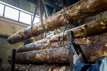 Similar image 10948099