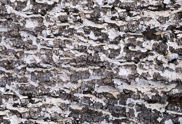 Similar image 10932872