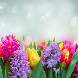 Similar image 10936970