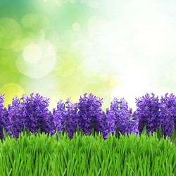 Similar image 10937044