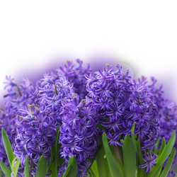 Similar image 10937045