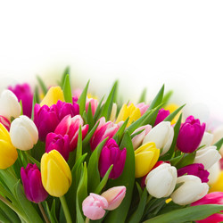 Similar image 10937047