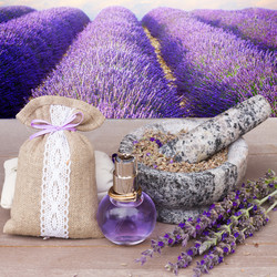 Similar image 10937006