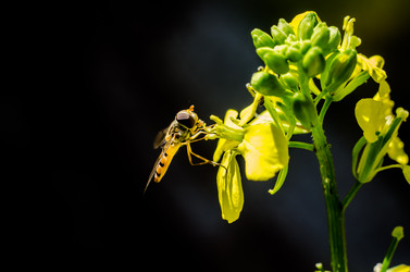 Similar image 10932894