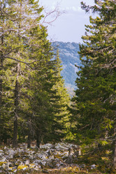 Similar image 10932942