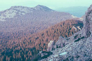 Similar image 10932945