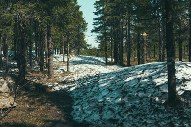 Similar image 10932946