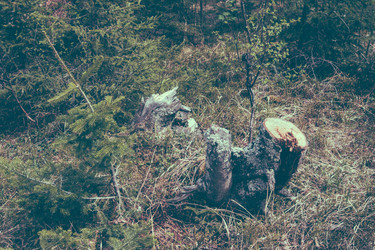 Similar image 10932948