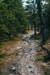 Similar image 10932955