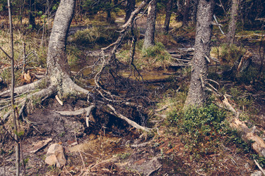 Similar image 10932956