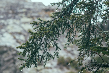 Similar image 10932957