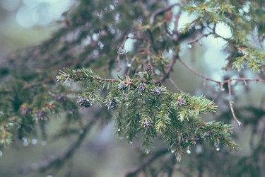 Similar image 10932958