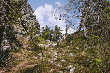 Similar image 10932960