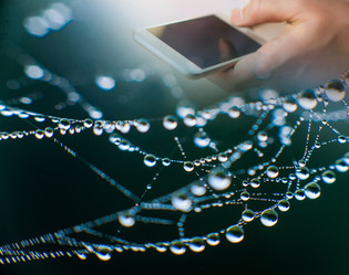 Similar image 10934732