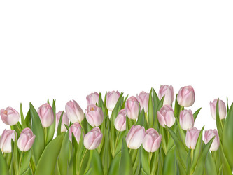 Similar image 10950262