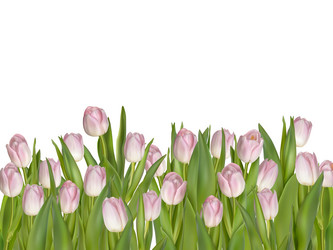 Similar image 10950264