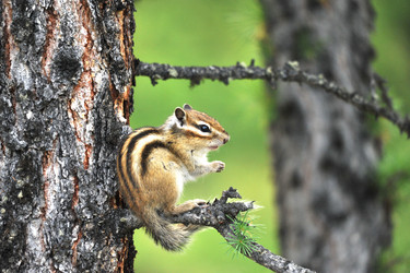 Similar image 10933352