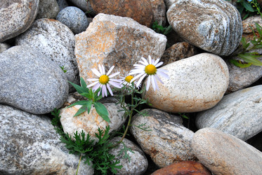 Similar image 10933353