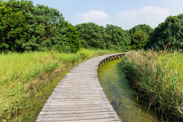 Similar image 10942977