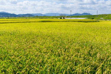 Similar image 10946059