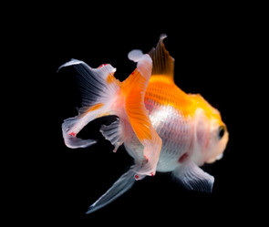 Similar image 10941940