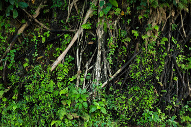 Similar image 10941944