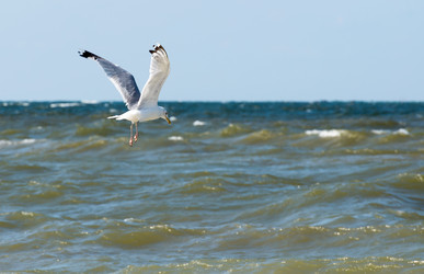 Similar image 10933492