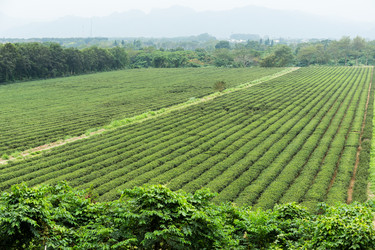 Similar image 10946066