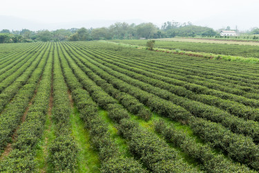 Similar image 10946067