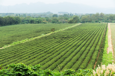 Similar image 10946068