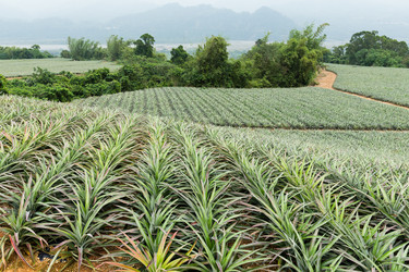 Similar image 10946115