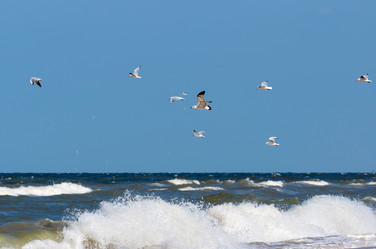 Similar image 10933496